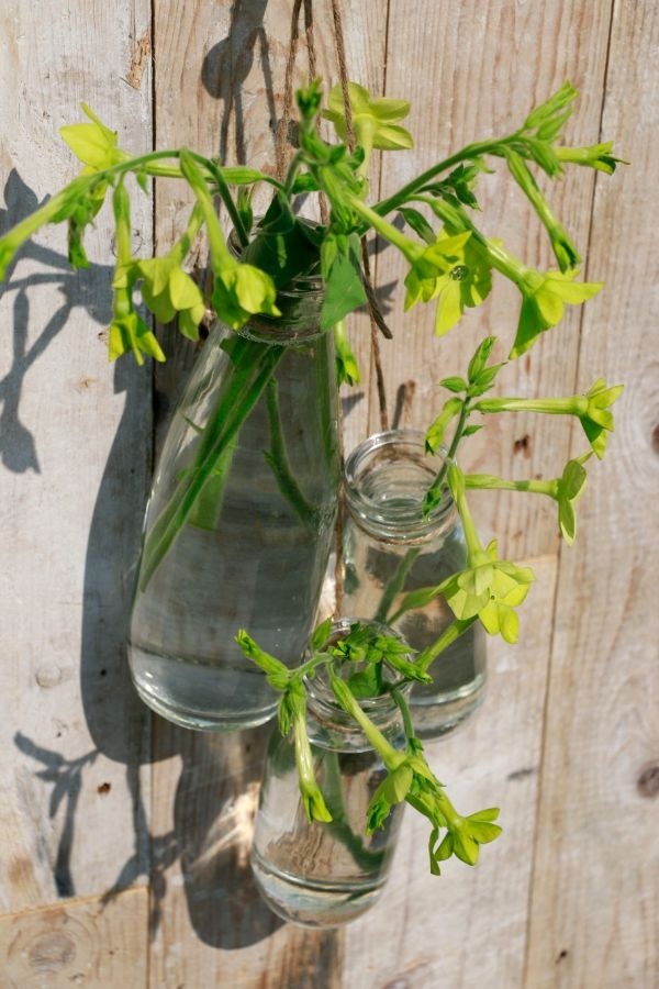 Milchflasche Glas 250ml 14x6cm - 24 Stk