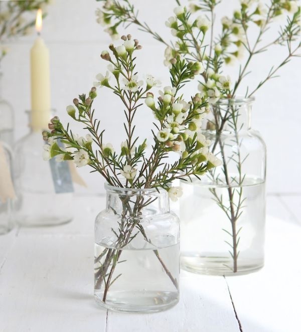 Medizinflasche Glas 10x7cm - 24 Stk