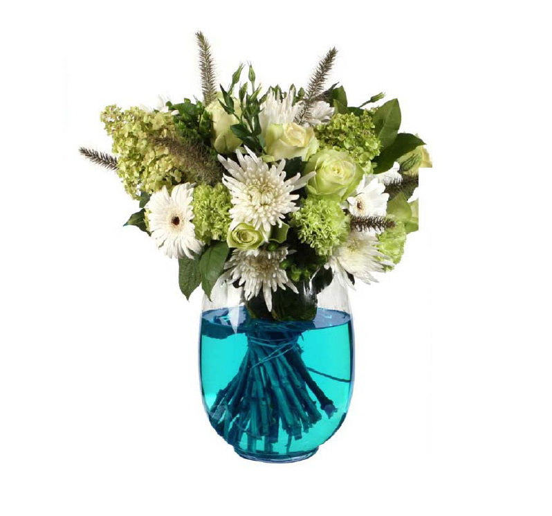 Farbstoff für Wasser | Blau - 1 Stk