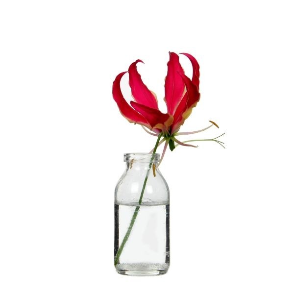 Glasflasche 100ml 10.5x5cm - 32 Stk