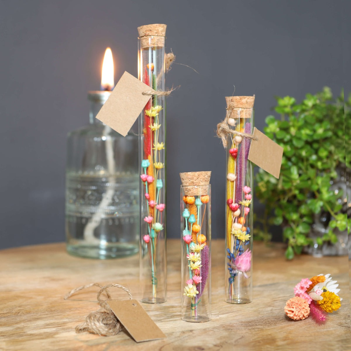 Glasröhre Ø2cm | H: 19cm - 12 Stk