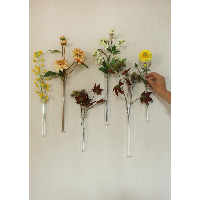 Glas-Reagenzgläser Ø 3 cm, H. 28 cm, mit 2 Löchern - 6 Stück