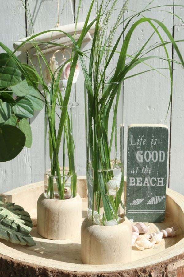 Glas-Testrohr mit Holzbasis 5x28cm - 1 Stk