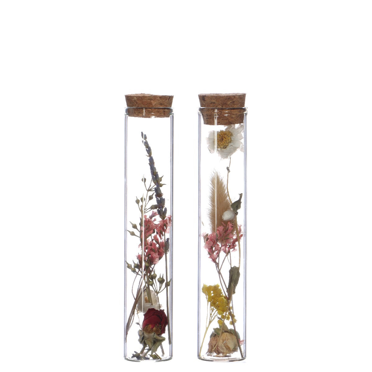 Glass tube with 2 different dried flowers Ø3cm (12 pcs.) [IFS