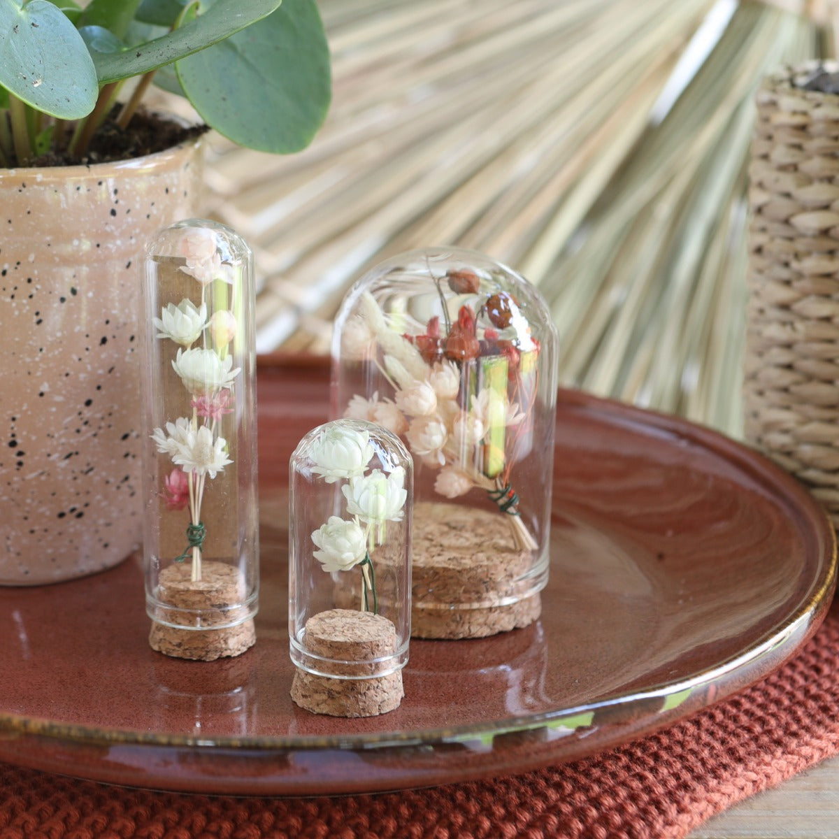 Mini-Stolpersteine aus Glas Ø2cm | H: 4cm | Mit Kork - 12 Stk