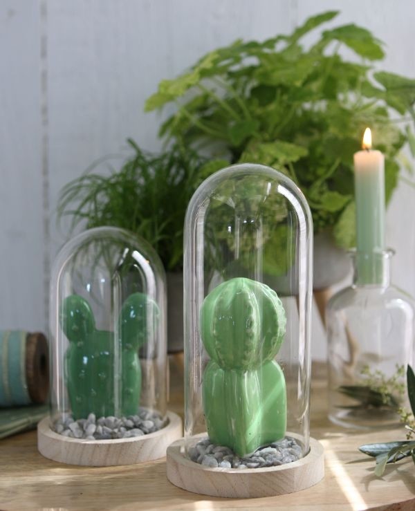 Glaskuppel mit Holzsockel 10x20cm - 1 Stk