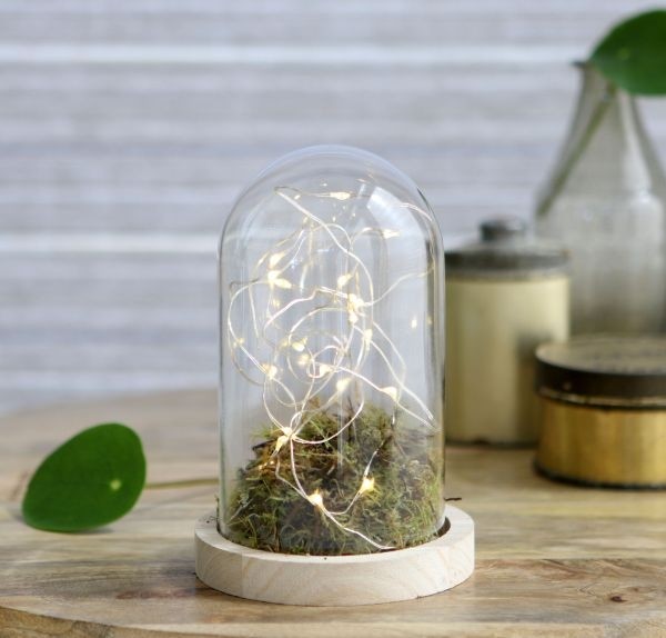 Glaskuppel mit Holzsockel 10x15cm - 1 Stk