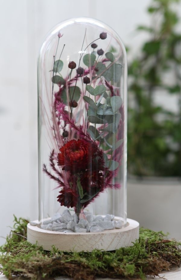 Glaskuppel mit Holzsockel 10x20cm - 1 Stk