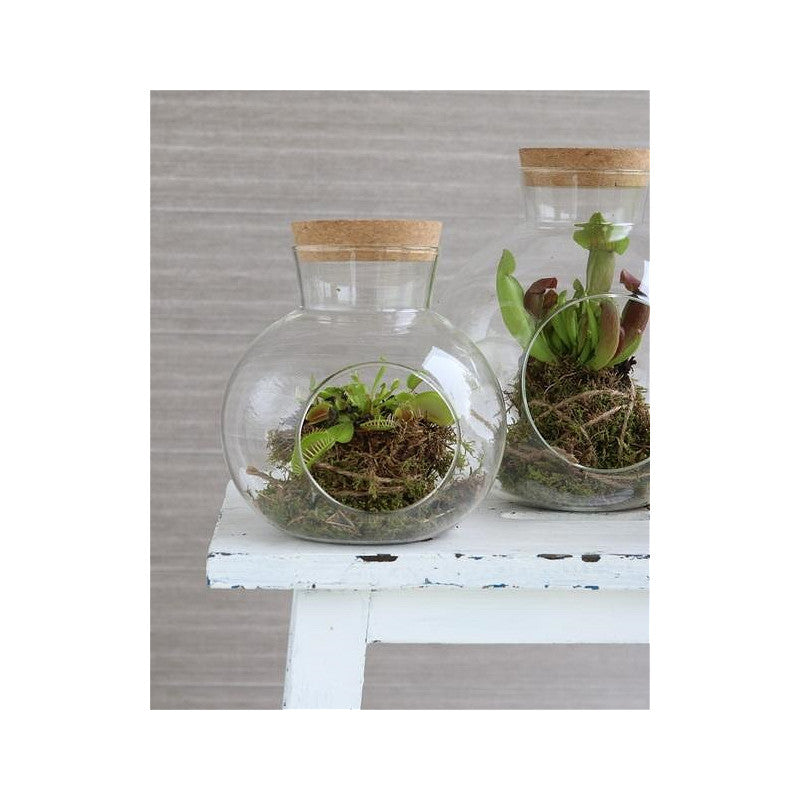 Glaskugel mit Korken, Ø 14 cm, H. 15 cm - 1 Stück