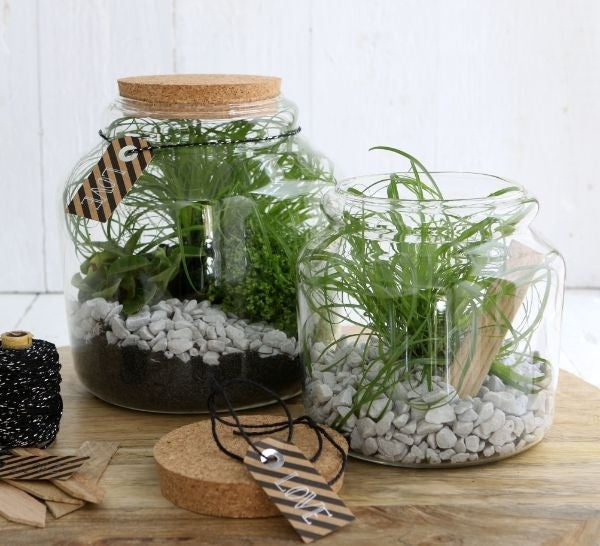 Glasgefäß mit Kork 15x14cm - 1 Stk