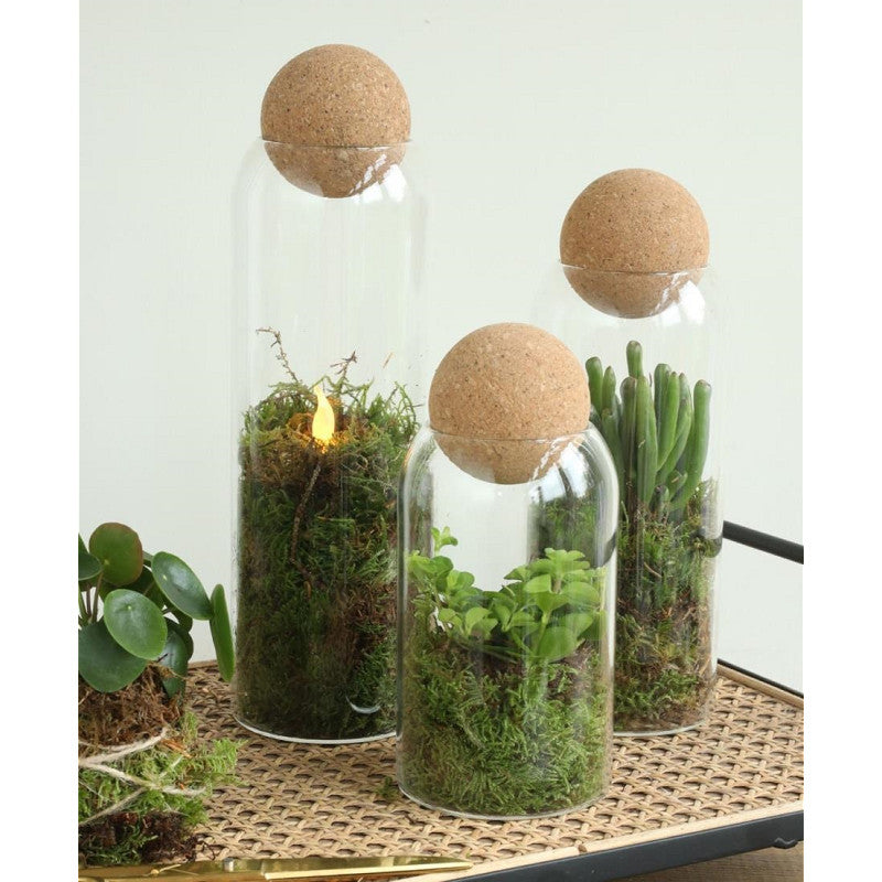 Glas-Terrarium Sienna Ø 8,5 cm, H. 24 cm - 6 Stück