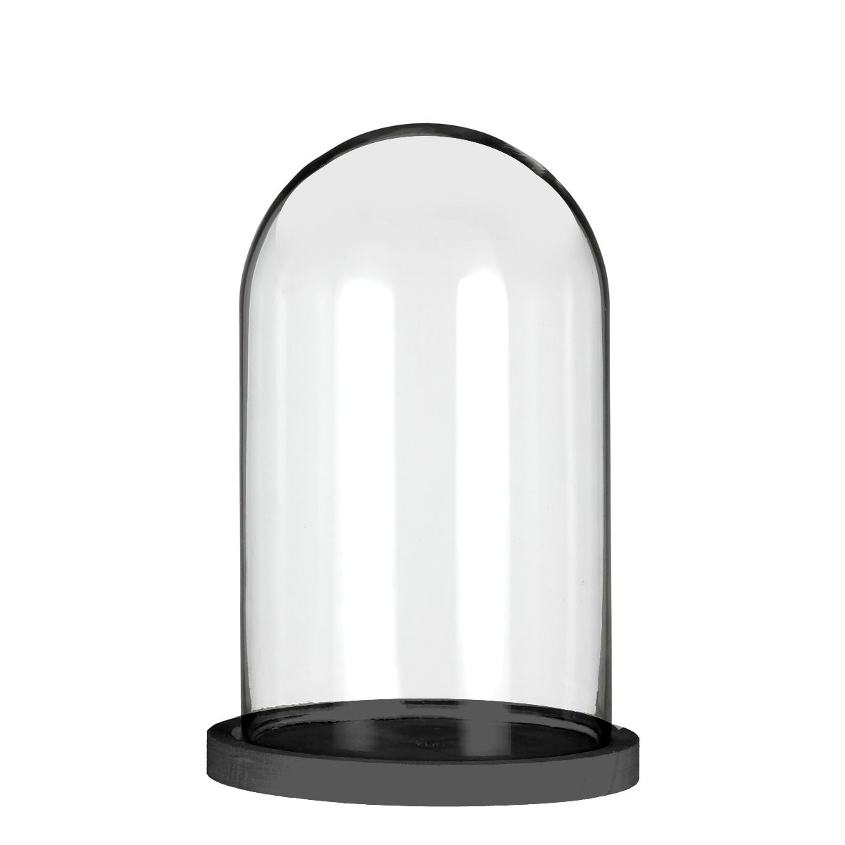 Glass Dome with black wooden base Ø14cm H.21cm