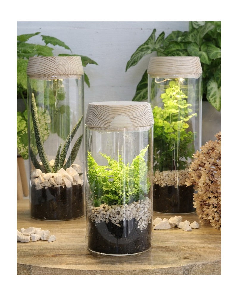 Reagenzglas Ø8 h: 18 cm m. Solar-Kork-Deckel - 1 Stk