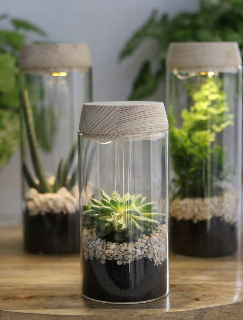 Reagenzglas Ø8 h: 18 cm m. Solar-Kork-Deckel - 1 Stk