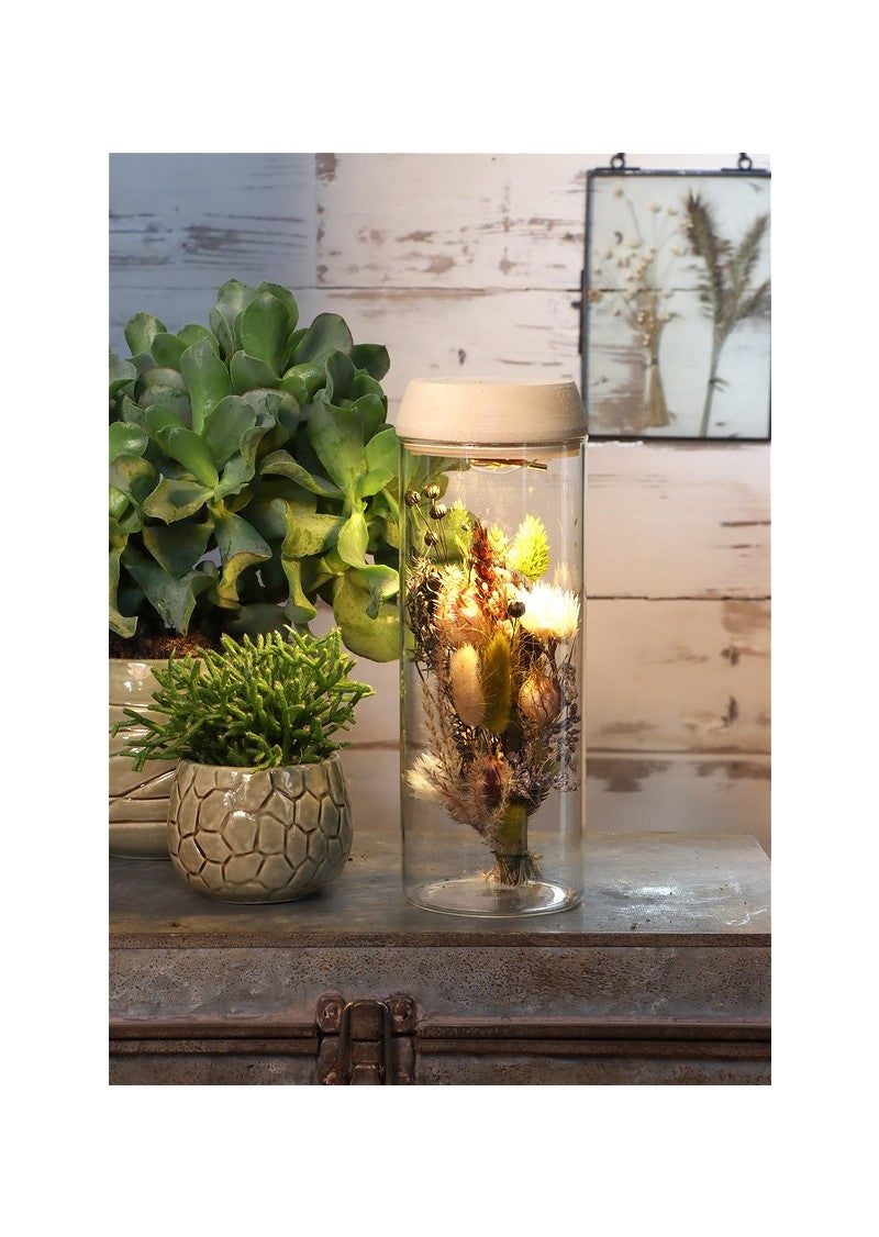 Reagenzglas Ø8 h: 23 cm m. Solar-Kork-Deckel - 1 Stk