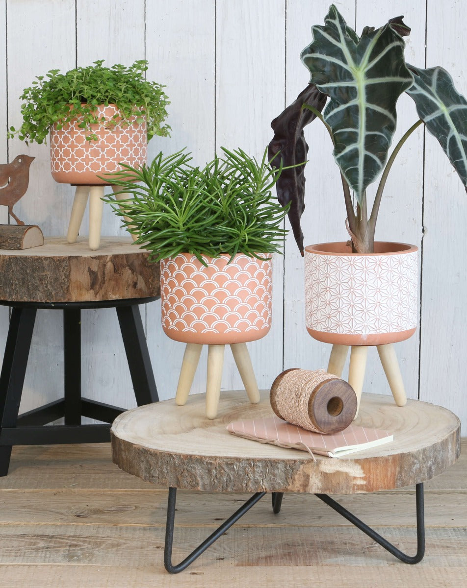 Blumentöpfe Terra-Zement mit Holzbeinen | H: 18cm - 6 Stk