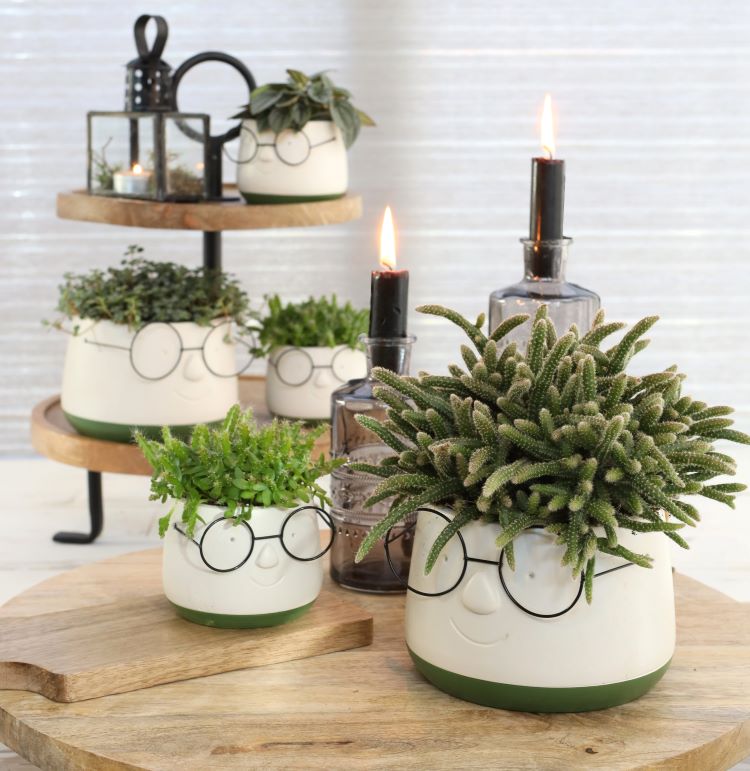 Topf mit Brille Ø16 h: 11,5 cm - 3 Stk