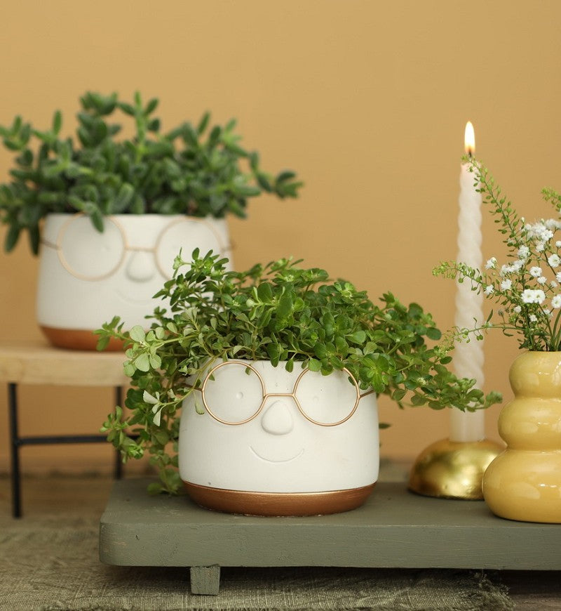 Topf mit Brille Gold Ø12 h: 9 cm - 6 Stk