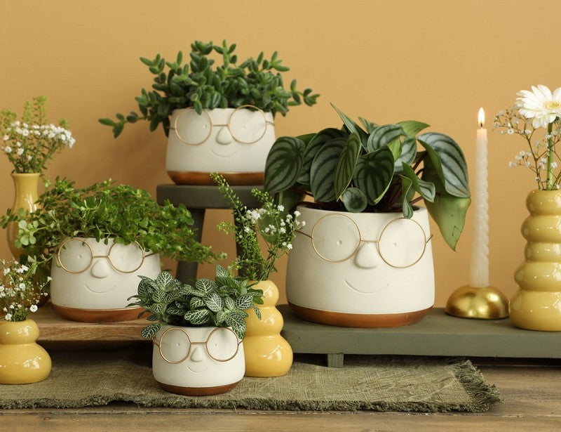 Topf mit Brille Gold Ø16 h: 11,5 cm - 3 Stk