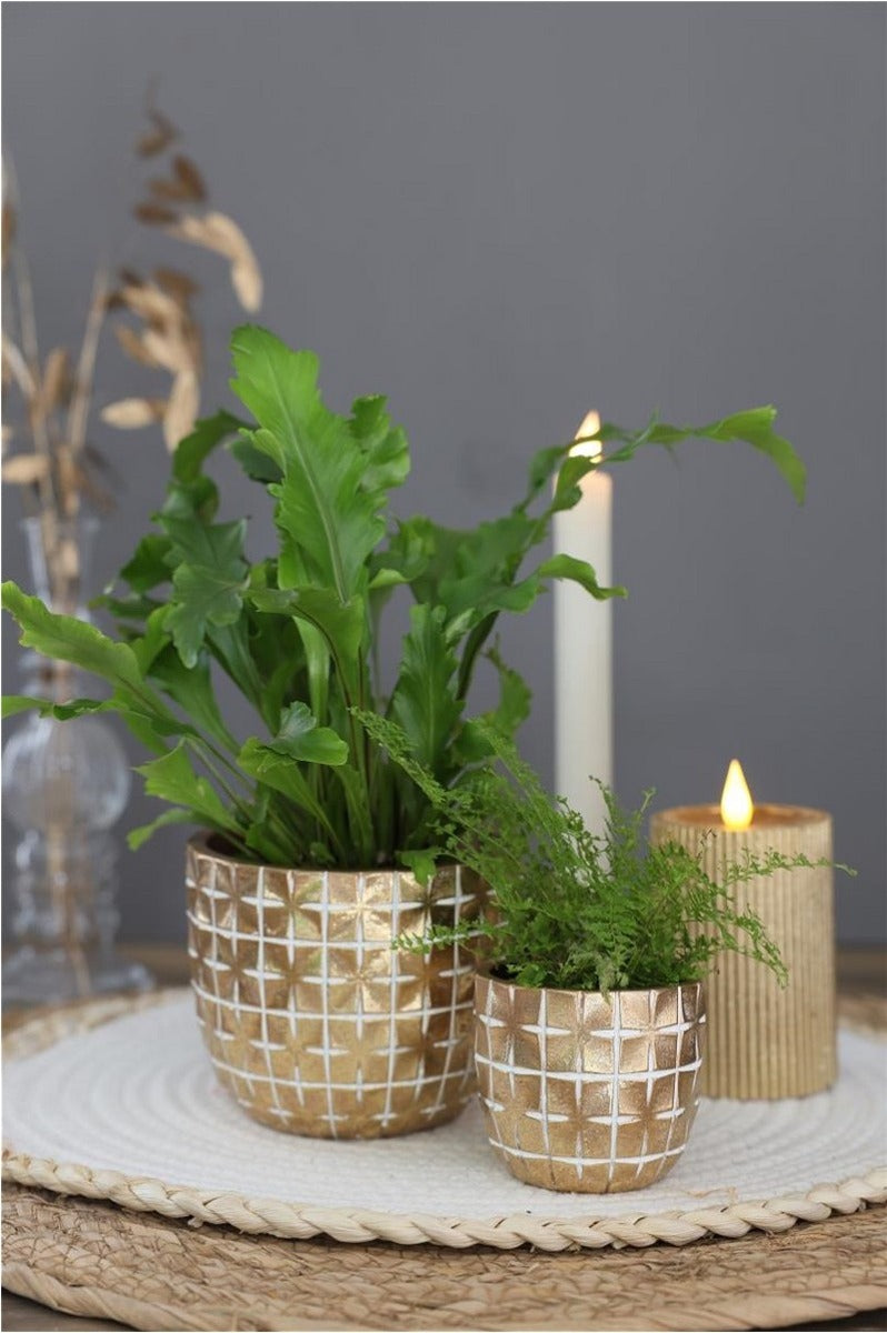 Hanoi Topf Ø7,5 x h:6,4 cm Gold - 6 Stk