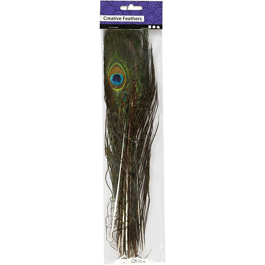 Pfauenfedern, L: 25-30 cm - 10 Stk