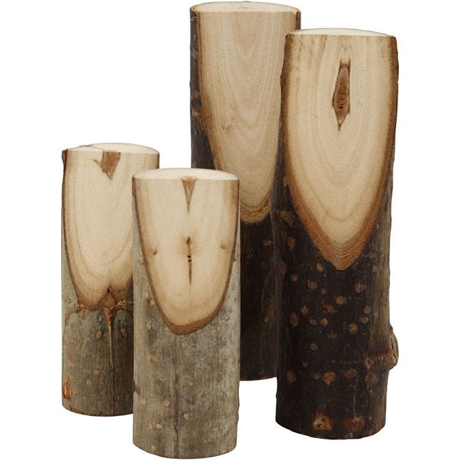 Kurze Holzäste mit schräger Schnittkante, H 8 cm, D 2,5-3,5 cm - 15 Stk