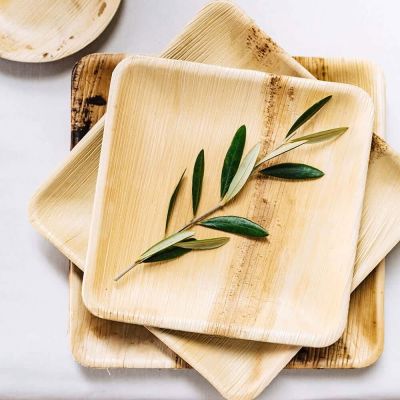 Quadratischer Palmblatt-Teller, 20x20cm - 200 Stk