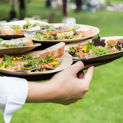 Teller Palmware® Ø 25 cm, rund - 200 Stk