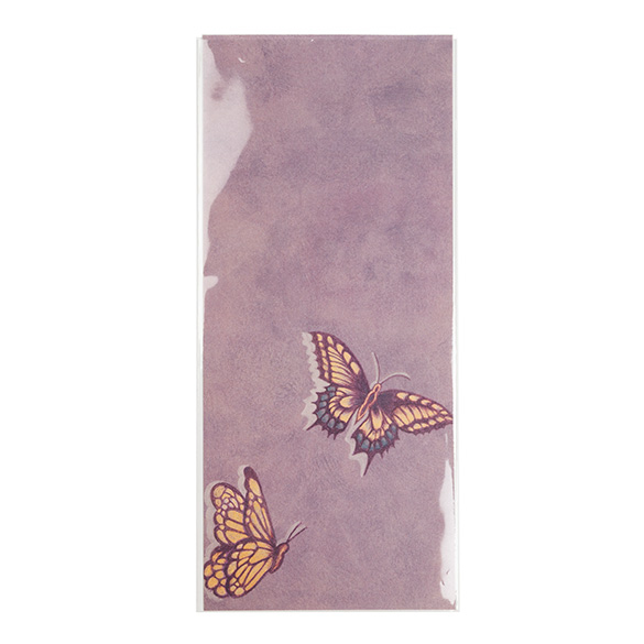 Umweltfreundliche Beutel Bioplastik 110x243mm - 100 Stk