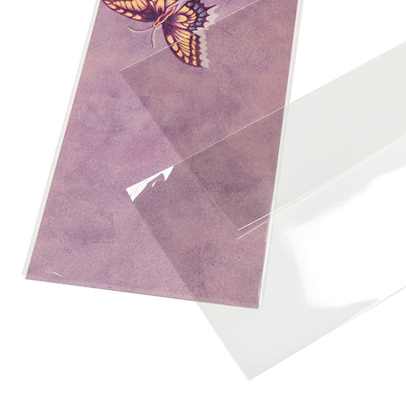 Umweltfreundliche Beutel Bioplastik 110x243mm - 100 Stk