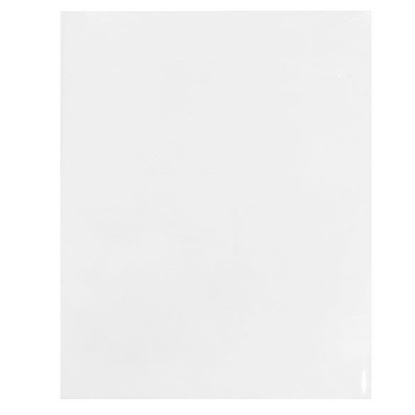 Umweltfreundliche Beutel Bioplastik 203x254mm - 100 Stk