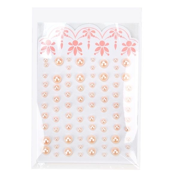 Umweltfreundliche Beutel Bioplastik 102x153mm Transparent - 100 Stk