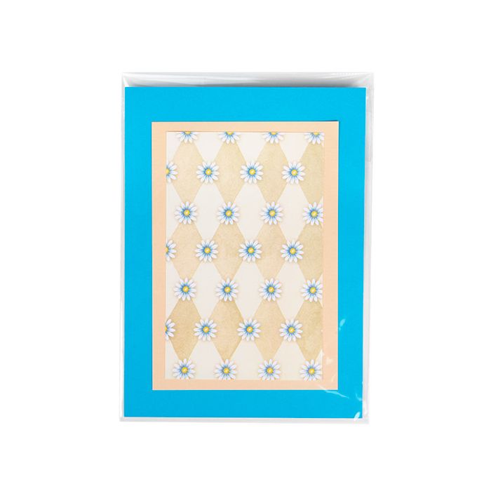 Eco Clear Envelopes 152 x241 mm Protective Closure