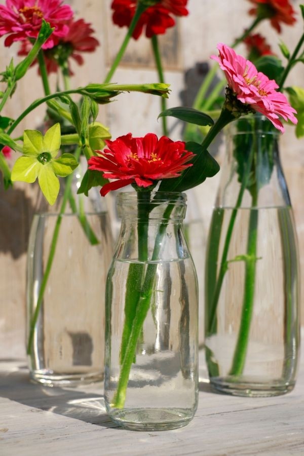 Milchflasche Glas 250ml 14x6cm - 24 Stk