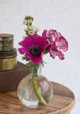 Bauchflasche Glas 10x8cm - 24 Stk