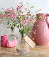 Bauchflasche Glas 10x8cm - 24 Stk