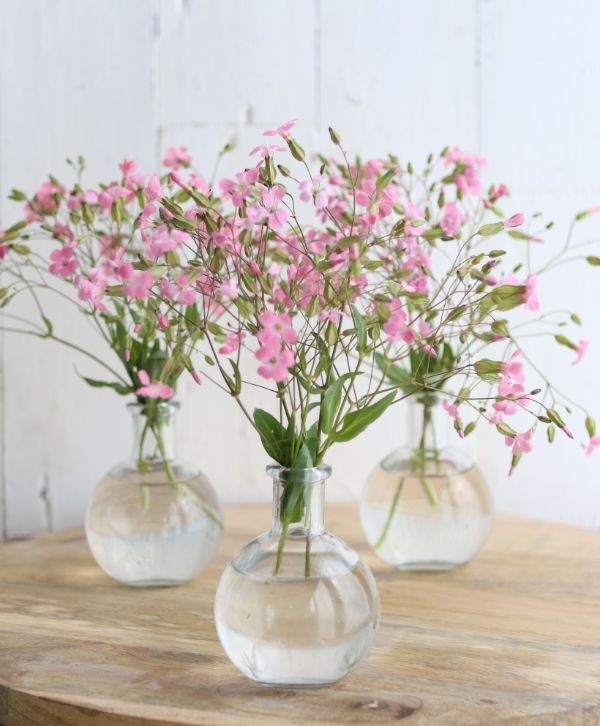 Bauchflasche Glas 10x8cm - 24 Stk