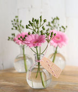 Bauchflasche Glas 10x8cm - 24 Stk