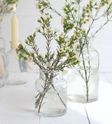 Medizinflasche Glas 10x7cm - 24 Stk