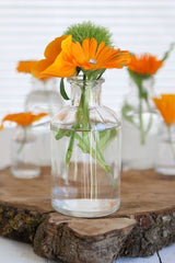 Glasflasche Ø7 h: 12 cm Transparent - 20 Stk