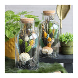Medizinflasche Glas 20x10cm - 6 Stk