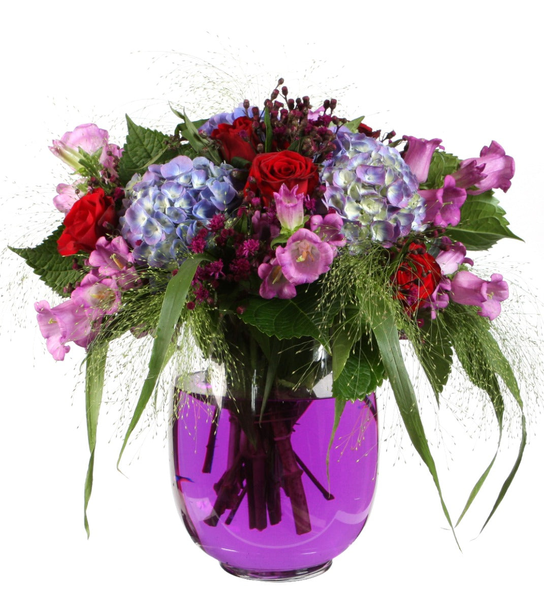 Farbstoff für Wasser | Lila - 1 Stk