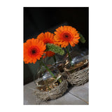 Kugelvase Ø 6,6 cm x 16 cm - 27 Stück