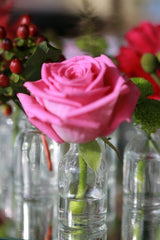 Glasflasche Mini 20ml 6x3cm - 50 Stk
