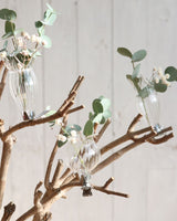 Vasen auf Clip Transparent Ø4cm - 3 Stk