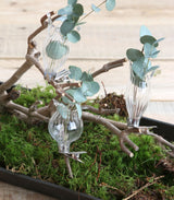 Vasen auf Clip Transparent Ø4cm - 3 Stk