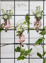 Vasen auf Clip Rosa Ø4mm - 3 Stk