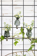 Vasen auf Clip Grau Ø4mm - 3 Stk