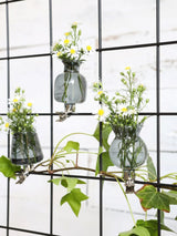 Vasen auf Clip Grau Ø4mm - 3 Stk