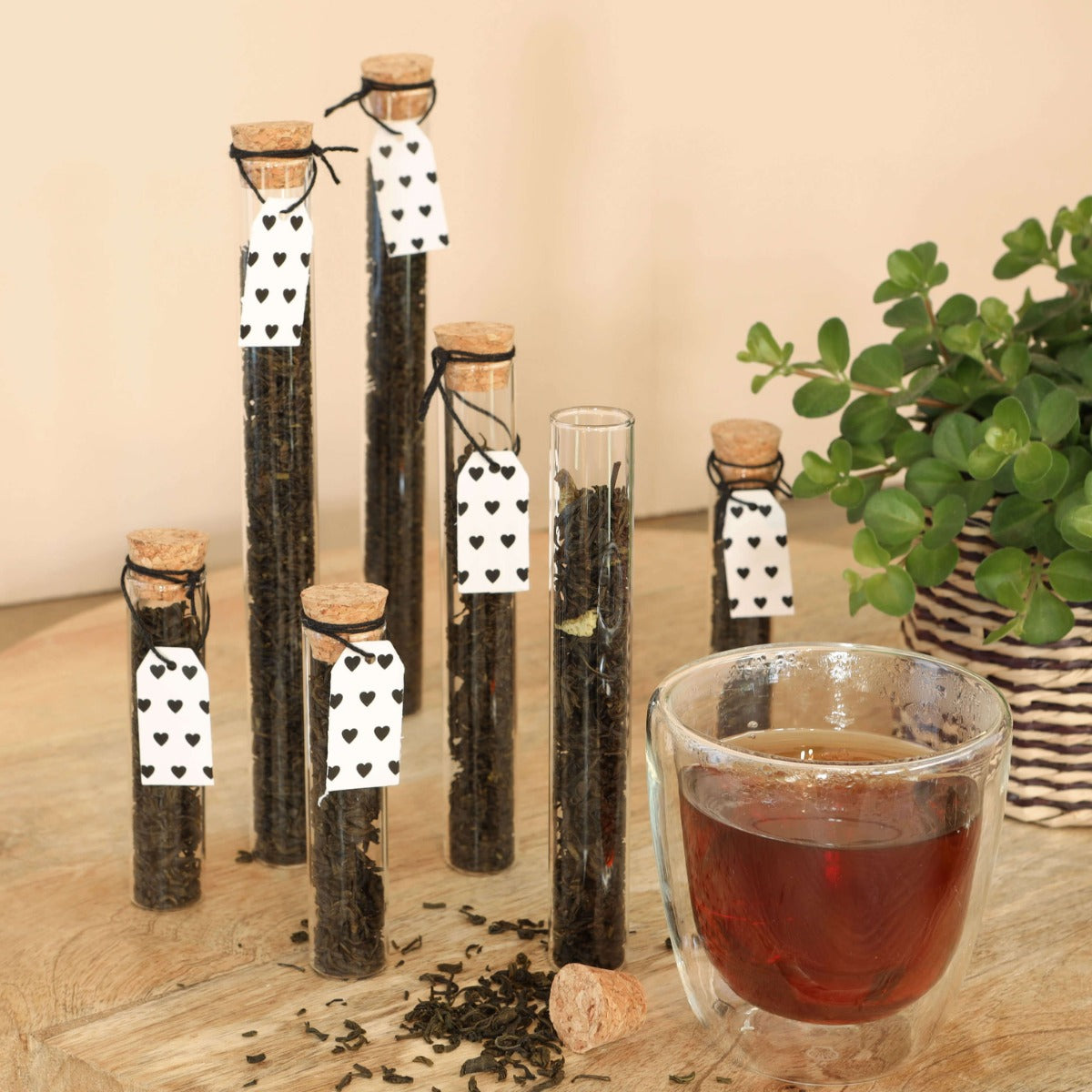 Glasröhre Ø2cm | H: 19cm - 12 Stk